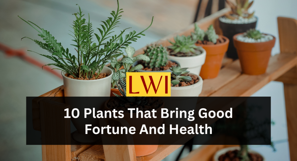 10 Plants That Bring Good Fortune And Health